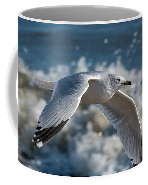 Action Coffee Mug featuring the photograph Gull at the Beach by Liza Eckardt