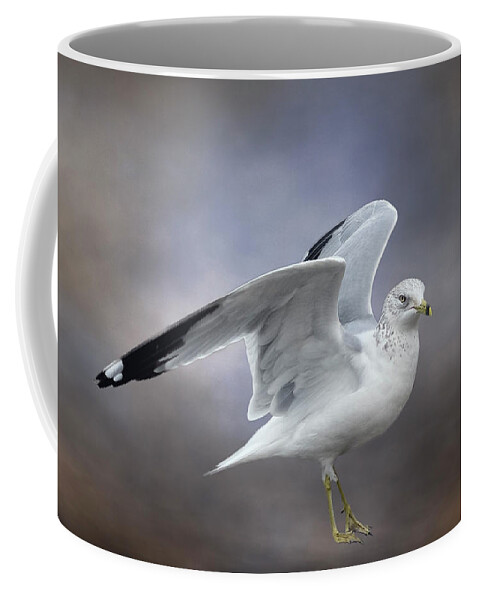 Seagull Coffee Mug featuring the photograph Gull Portrait by Cate Franklyn