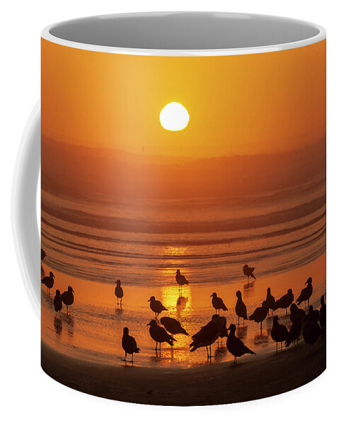 Animals Coffee Mug featuring the photograph Gull Silhouettes on Sand by Robert Potts