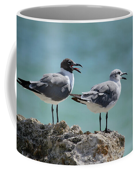 Susan Molnar Coffee Mug featuring the photograph Gull Talk by Susan Molnar