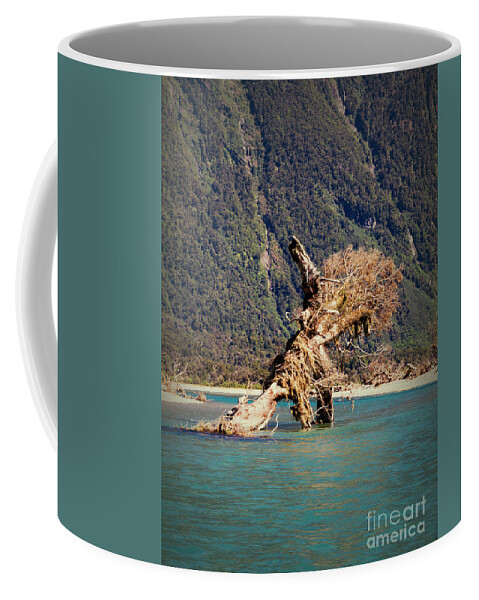 Haast Coffee Mug featuring the photograph Haast River, New Zealand by Elaine Teague