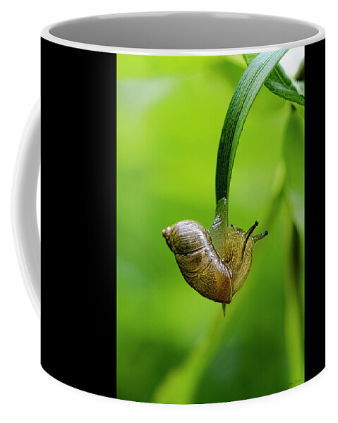 Hang In There Coffee Mug featuring the photograph Hang in There by Marty Saccone