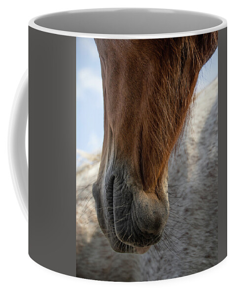 Horses Coffee Mug featuring the photograph Hanging Out by M Kathleen Warren