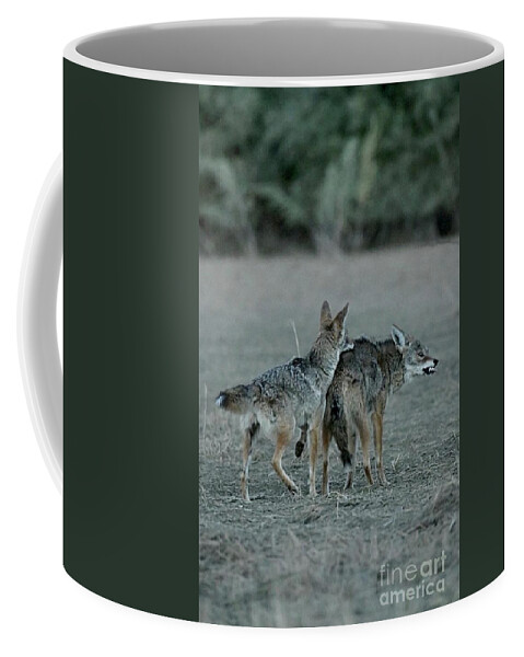 Coyote Coffee Mug featuring the digital art Hangry by Tammy Keyes