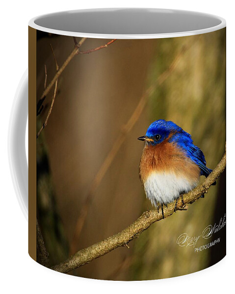 Eastern Bluebird Coffee Mug featuring the photograph Happiness by Mary Walchuck