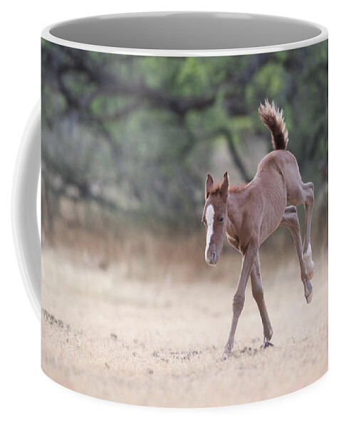 Cute Foal Coffee Mug featuring the photograph Happy Dance by Shannon Hastings