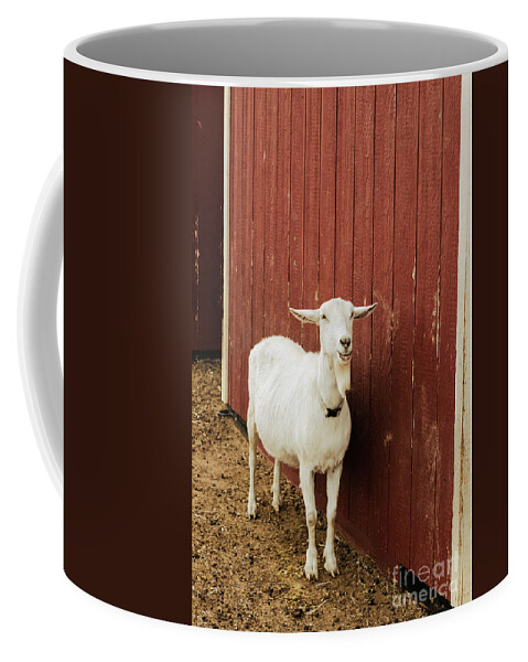 Goat Coffee Mug featuring the photograph Happy Goat by Ana V Ramirez