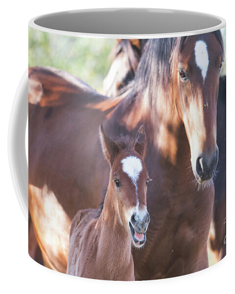 Foal Coffee Mug featuring the photograph Happy by Shannon Hastings