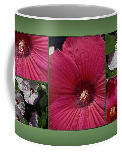 Hibiscus Coffee Mug featuring the photograph Hardy Hibiscus by Nancy Ayanna Wyatt