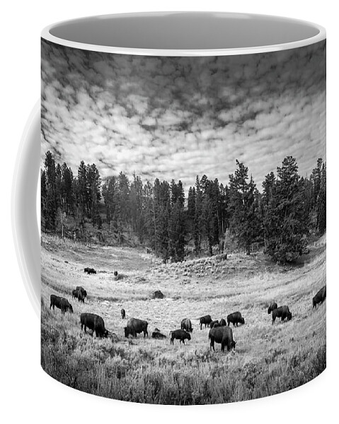 Bison Coffee Mug featuring the photograph Harkening To Times Past by Michael Smith