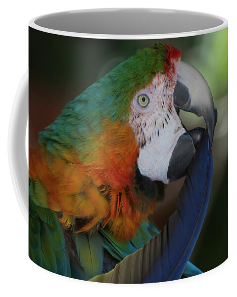 Bird Coffee Mug featuring the photograph Harlequin Macaw by Carolyn Hutchins