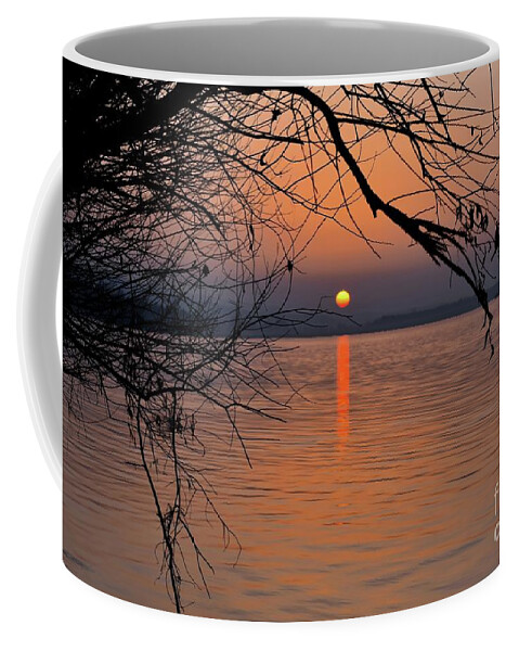 Harmony Coffee Mug featuring the photograph Harmony and Peace of The Sunset by Leonida Arte