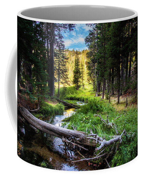 Hiking Coffee Mug featuring the photograph Hat Creek Paradise by Mike Lee
