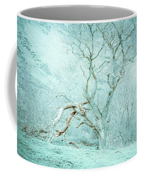 Aber Falls Coffee Mug featuring the photograph Haunted Tree by Spikey Mouse Photography