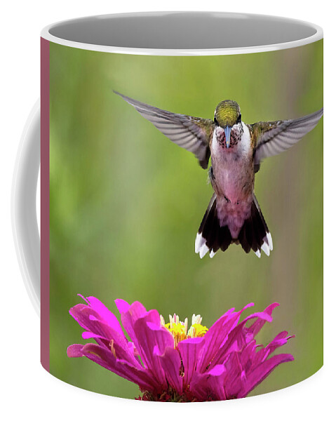 Bird Coffee Mug featuring the photograph Head on Hover by Art Cole