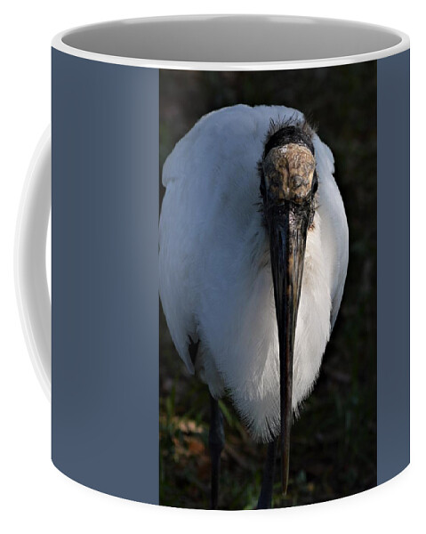 Head On Wood Stork Coffee Mug featuring the photograph Head On Wood Stork by Warren Thompson