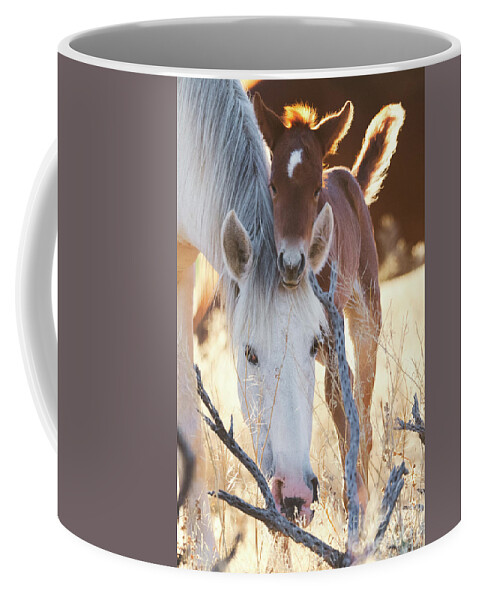 Mom & Baby Coffee Mug featuring the photograph Headrest by Shannon Hastings