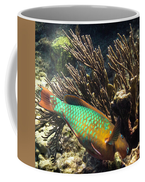Ocean Coffee Mug featuring the photograph Heading In by Lynne Browne