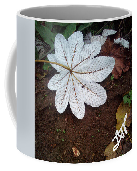 Heal Coffee Mug featuring the photograph Heal Me Herbal by Esoteric Gardens KN