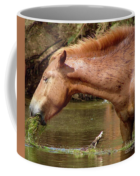 Salt River Wild Horse Coffee Mug featuring the digital art Healthy Appetite by Tammy Keyes