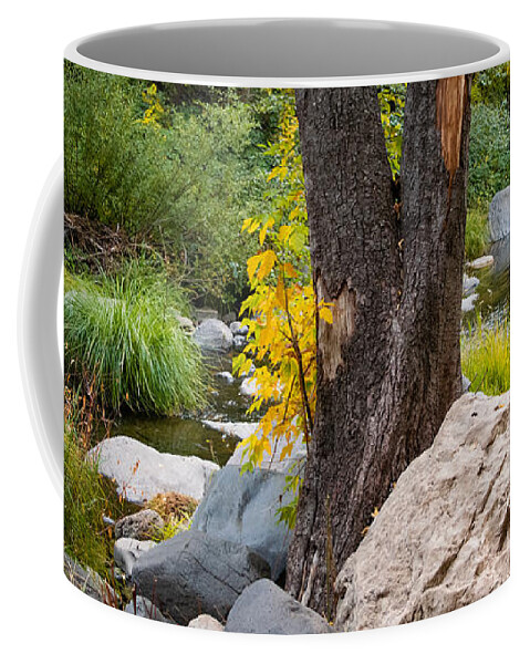 Arizona Coffee Mug featuring the photograph Heart of the Canyon by Bonny Puckett