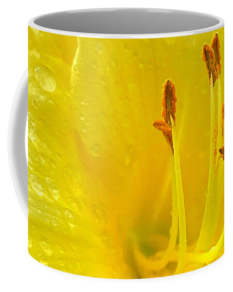 Daylily Coffee Mug featuring the photograph Heart of the Daylily by Lee Darnell