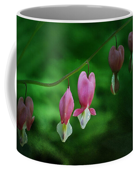 Dicentra Coffee Mug featuring the photograph Hearts of Spring by Moira Law