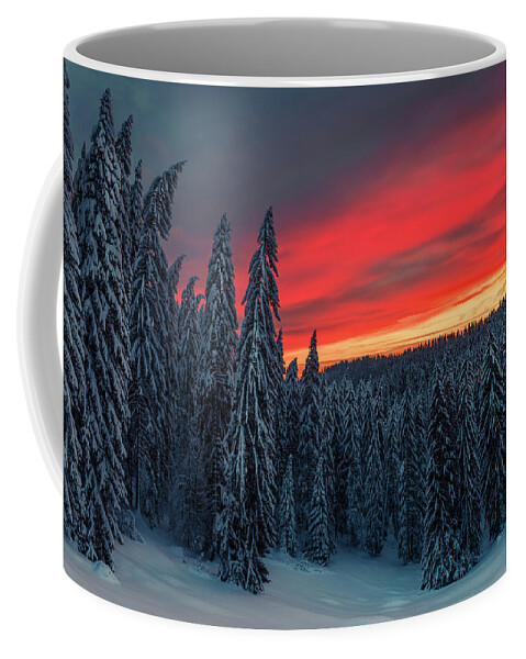 Bulgaria Coffee Mug featuring the photograph Heavens In Flames by Evgeni Dinev
