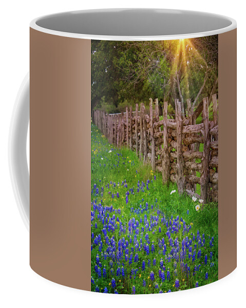 Bluebonets Coffee Mug featuring the photograph Heaven's Light on the Loop by Lynn Bauer