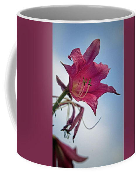 Lily Coffee Mug featuring the photograph Heirloom by M Kathleen Warren