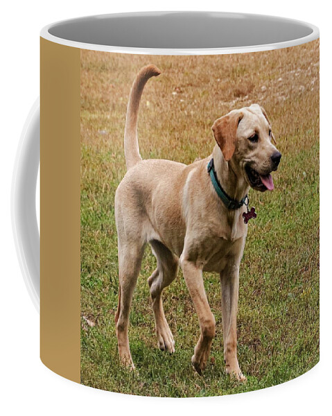 Dog Coffee Mug featuring the photograph Hello by John Linnemeyer