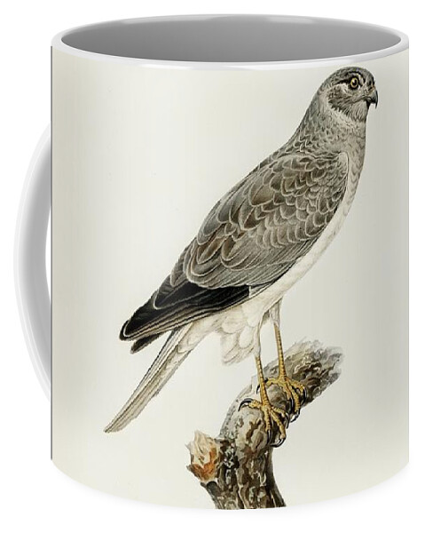 Vintage Print Coffee Mug featuring the mixed media Hen Harrier by World Art Collective