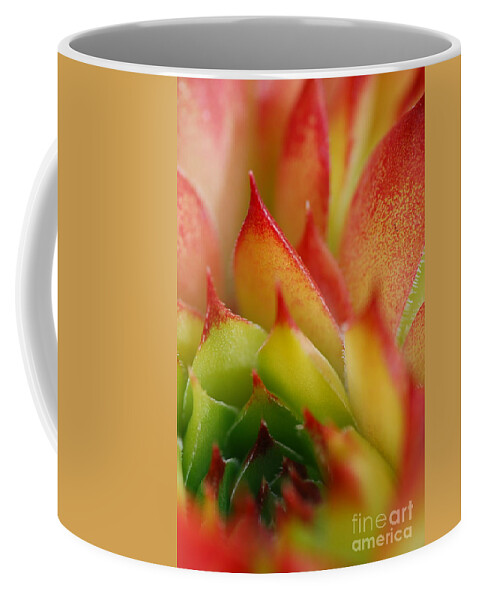 Hens And Chicks Coffee Mug featuring the photograph Hens And Chicks #2 by Stephanie Gambini
