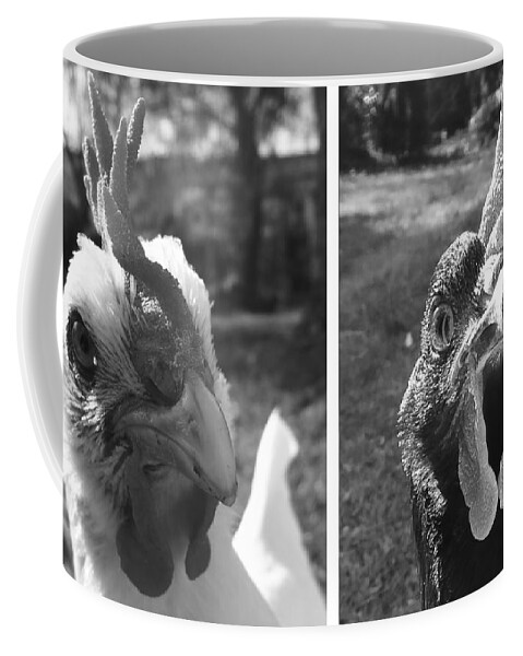 Hello Coffee Mug featuring the photograph Hens Hello by Joelle Philibert