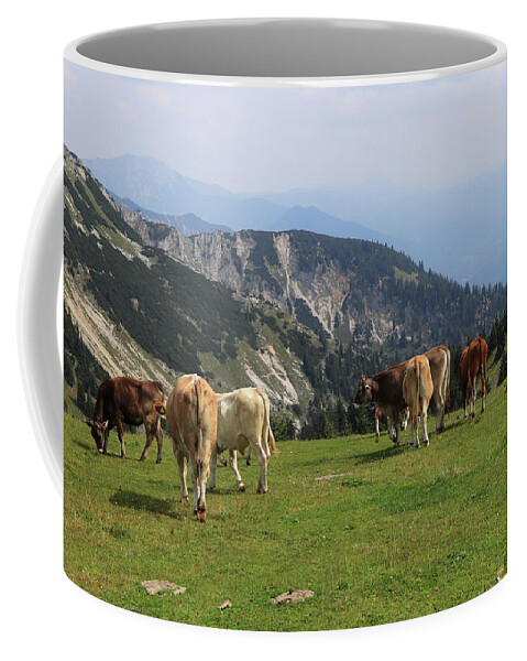 Hochkar Coffee Mug featuring the photograph Herd of Pinzgauer cattle grazes on the Hochkar mountain with an incredible and soothing view of the rest of the Austrian Alps. Organic product, the freshest and highest quality milk. by Vaclav Sonnek