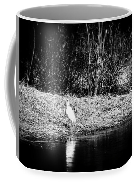 Photography Coffee Mug featuring the photograph Heron At Nighttime Latvia by Aleksandrs Drozdovs
