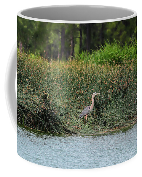 Heron Coffee Mug featuring the photograph Majestic by Laura Putman