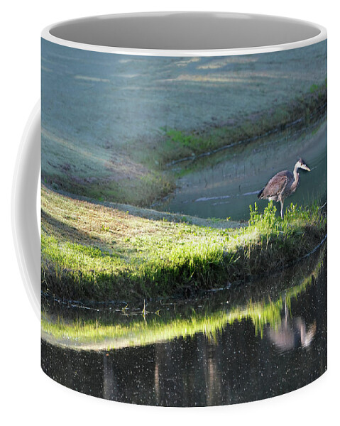 Great Blue Heron Coffee Mug featuring the photograph Heron On Point by Jerry Griffin