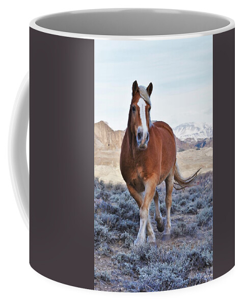Horse Coffee Mug featuring the photograph Hey Tonka by Alden White Ballard