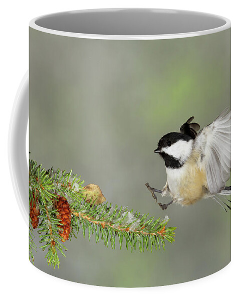 Nature Coffee Mug featuring the photograph Hey Guys, Wait Up For Me by Gerry Sibell