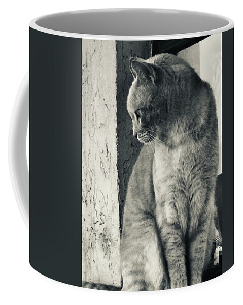 Cat Coffee Mug featuring the digital art Hi Noon by Michelle Hoffmann