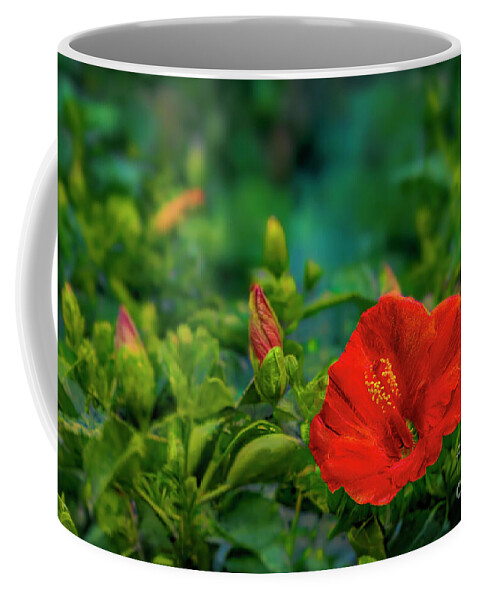 Hibiscus; Flower; Flora; Leaf; Leaves; Bud Coffee Mug featuring the photograph Hibiscus in Bloom by Shelia Hunt
