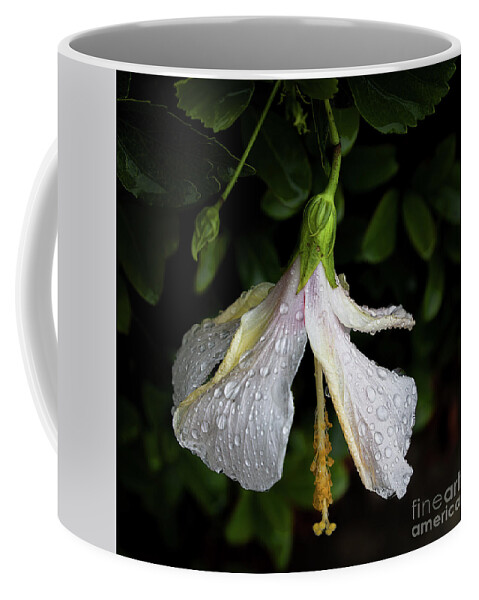 Hibiscus Coffee Mug featuring the photograph Hibiscus in the Rain by Neala McCarten
