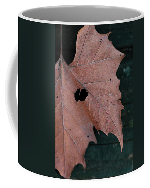 Mountain Coffee Mug featuring the photograph Hidden Leaf Heart by Go and Flow Photos