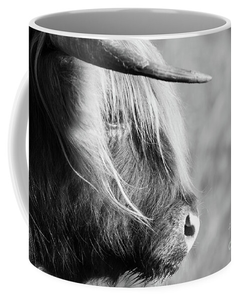 Highland Cattle Coffee Mug featuring the photograph Highland cow face side view black and white by Simon Bratt