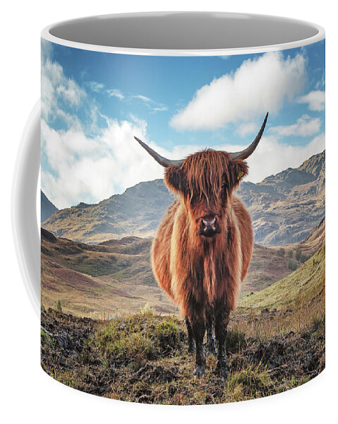 Highland Cow Coffee Mug featuring the photograph Highland Cow Loch Lomond and Trossachs Park by Grant Glendinning