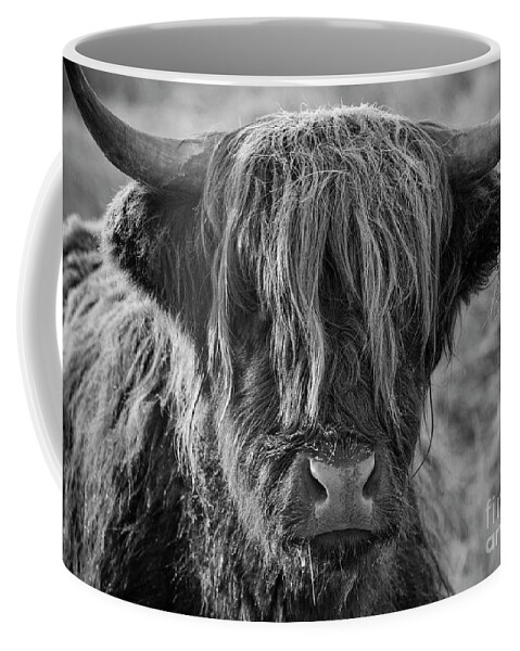 Highland Cow Coffee Mug featuring the photograph Frosty face - Highland Cow by Neale And Judith Clark