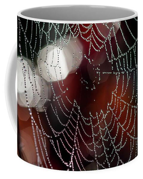Abstract Coffee Mug featuring the photograph Highlights and Low Light Web by Robert Potts