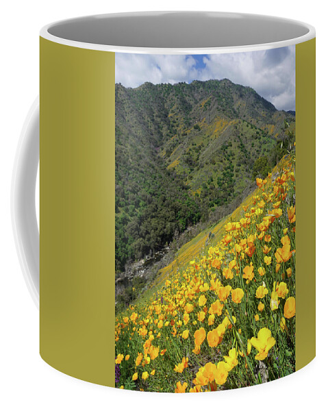 Poppies Coffee Mug featuring the photograph Poppies Above Kaweah River by Brett Harvey