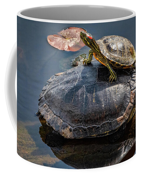 Lakes And Rivers Coffee Mug featuring the photograph Hitch Hiker by Larey McDaniel